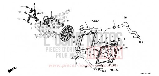 RADIATOR (R.) GL1800J de 2018